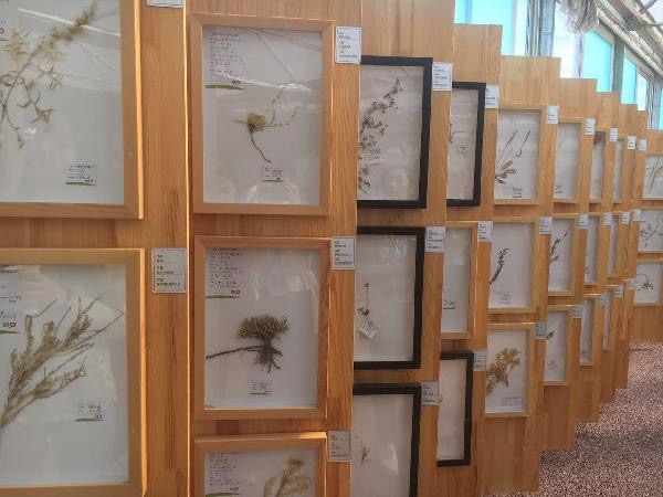 1504055388042036022.jpg 11.jpg