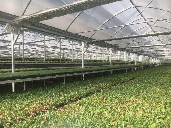 1504057948882097180.jpg 22.jpg