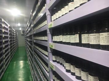 1504057980464042744.jpg 33.jpg