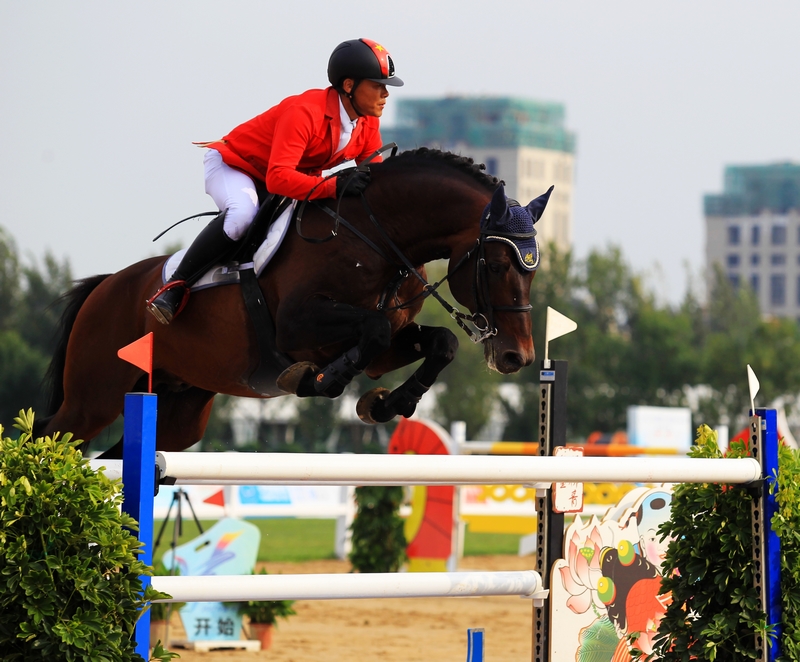 1504082330015080806.jpg 91.jpg