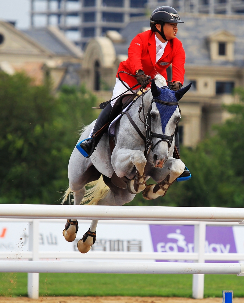 1504082343146040918.jpg 92.jpg