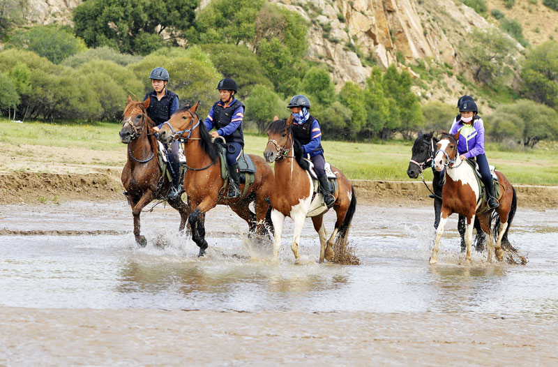 1505099346083099911.jpg 40.jpg