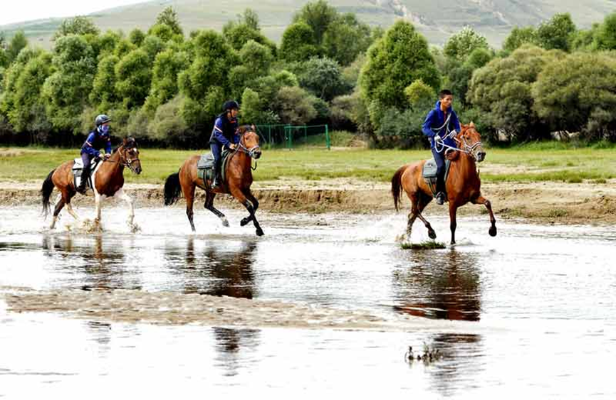 1505099392238083480.png 42.png