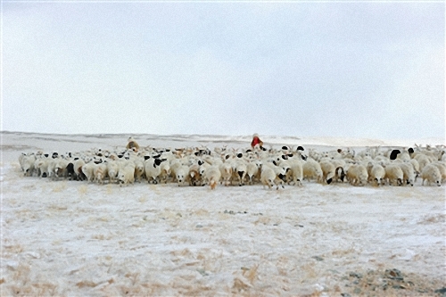 1504252306577008462.jpg 1 (水印).jpg