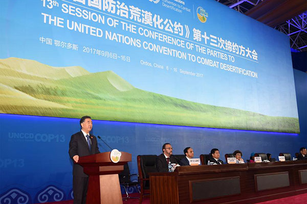 1505197236415008352.jpg wang600.jpg