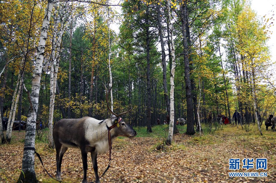 1506419781728013561.jpg 02.jpg