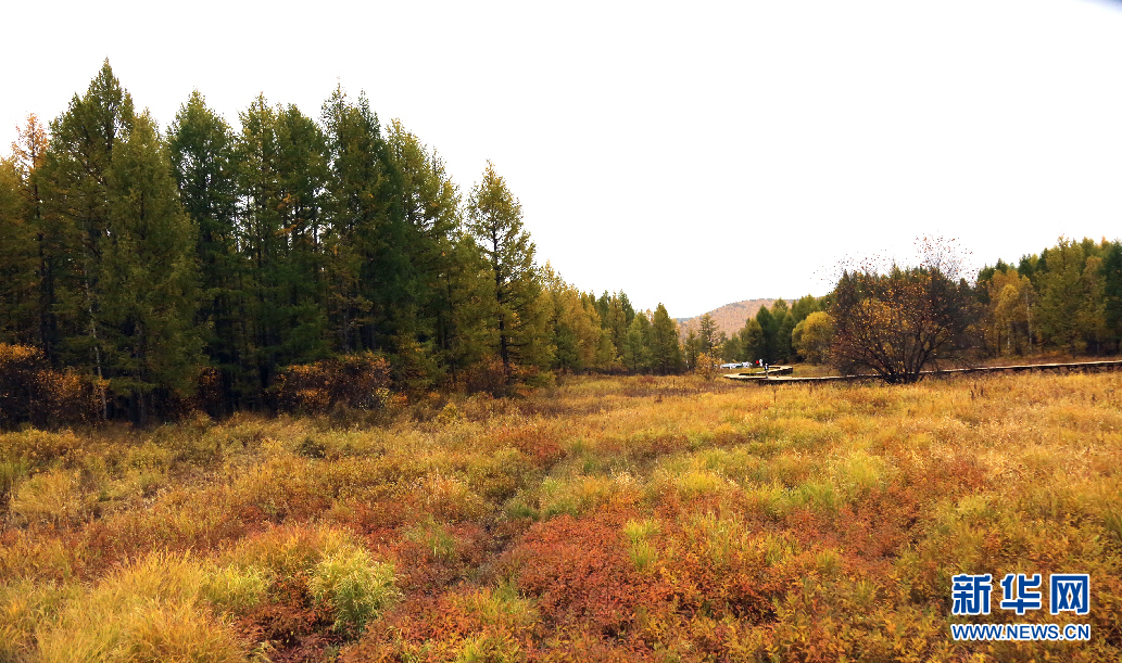 1506419813622074758.jpg 04.jpg