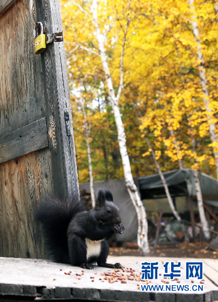 1506419828119028826.jpg 05.jpg