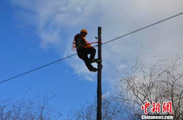 1510534674836073732.jpg 22222_副本.jpg