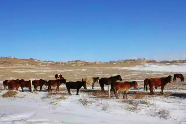 1510535798273066717.jpg 5_副本.jpg