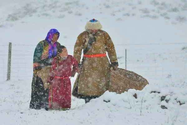 1510535805687040476.jpg 6_副本.jpg