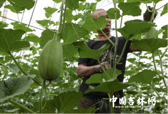 1511165825808009568.jpg eca86bd9ddc71ae29ab202.jpg