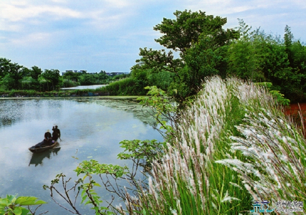 1511421407918054909.jpg update3.jpg