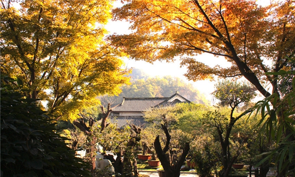 1511425662430093700.jpg update3.jpg