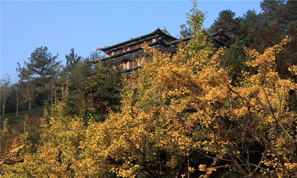 1511425673703013941.jpg update4.jpg