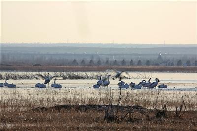 1513216865879062507.jpg 1.jpg