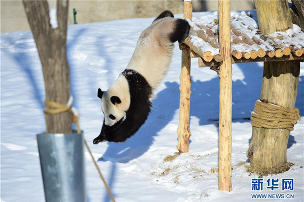 1520845313302030418.jpg 1111.jpg