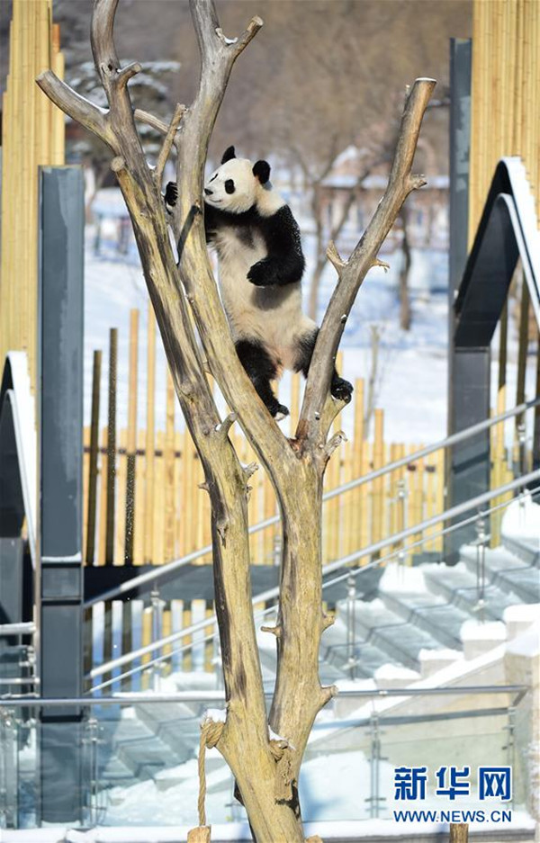 1520845322530026126.jpg 2222.jpg