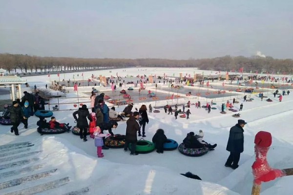 1520846057386025435.jpg 3.jpg