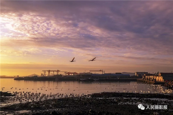 1516667629311002407.jpg 286ed488c8241bc6944503.jpg