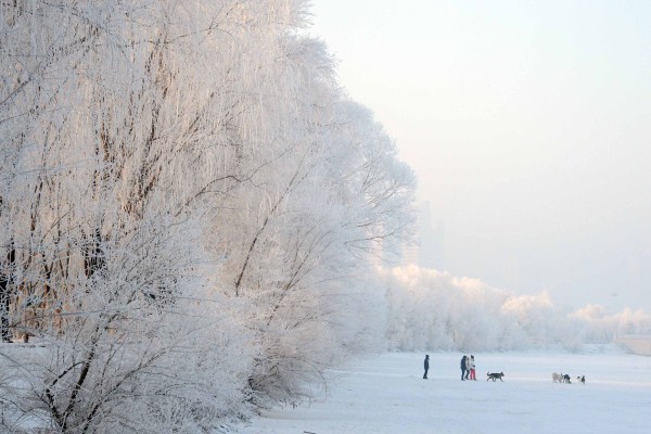 1520846287865011253.jpg 11111.jpg