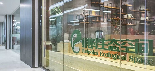 1517820851671041991.jpg 118450744_5_20171208063809788.jpg