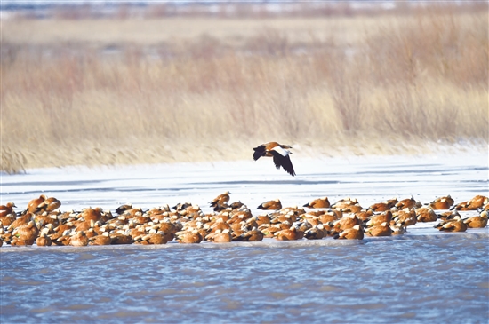 1518078132778001857.jpg 58406e5d7f7473f7b296304110663186.jpg