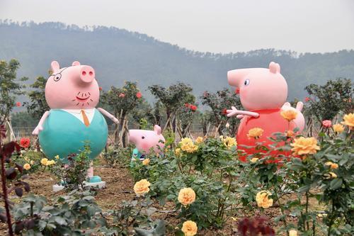 1518053548531013289.jpg 2.jpg