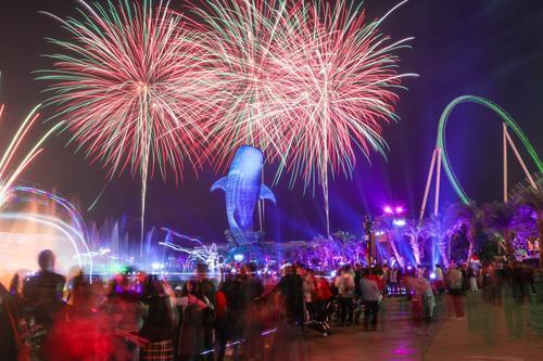 1518053618095022705.jpg 3.jpg