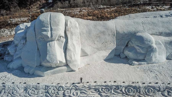 1520909575403062906.jpg 1234.jpg