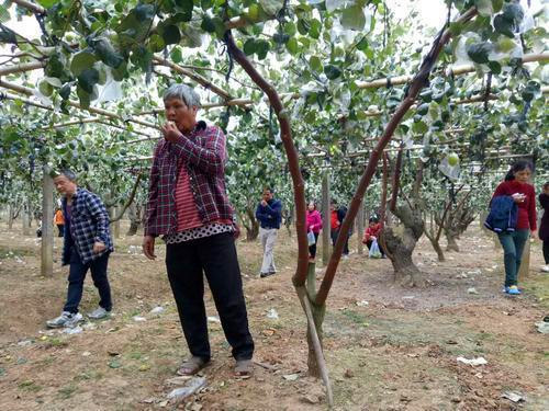 1519350030628020522.jpg sg2_副本.jpg