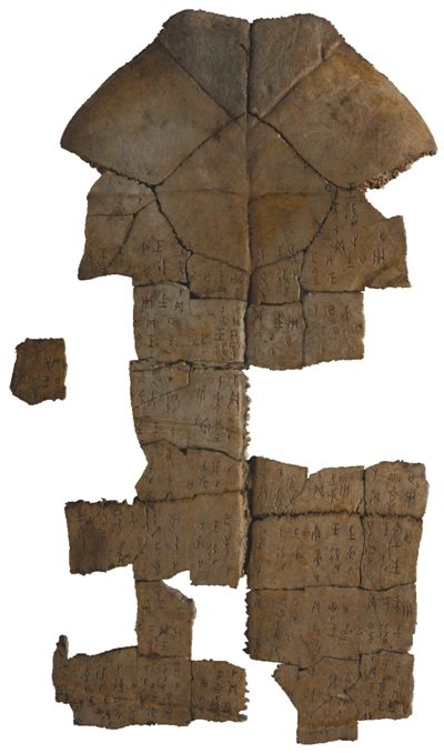 1519451527489072451.jpg 8276521158118202319.jpg