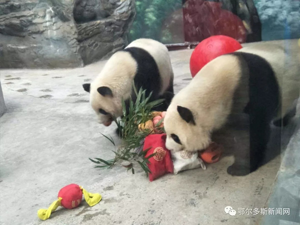 1519641413423050323.jpg 1.jpg