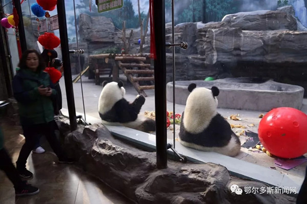 1519641554756053395.jpg 1.jpg