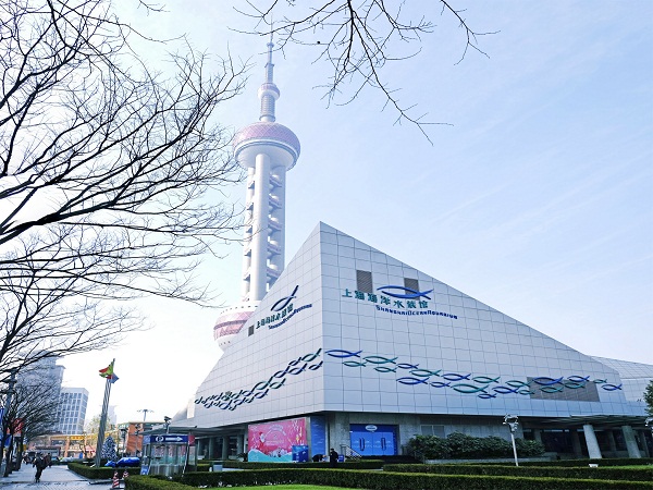 1519696777649018563.jpg 1.jpg