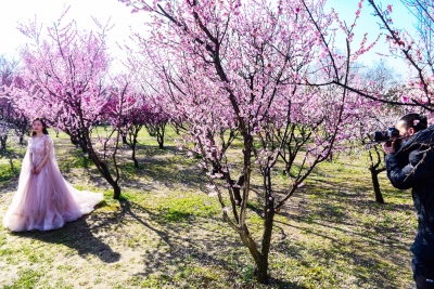 1521007282499085669.jpg 2.jpg