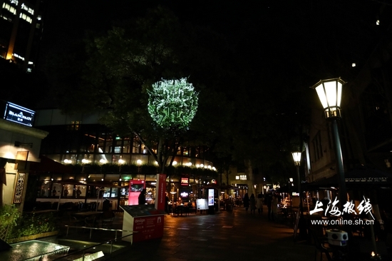 1521021940306048240.jpg 1.jpg