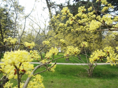 1521184485953081791.jpg 11.jpg