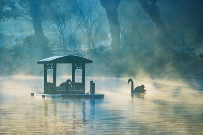 1521184502566036371.jpg 12.jpg