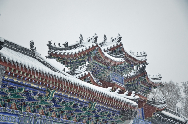 1521438546716003620.jpg 50.jpg