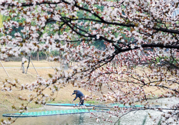 1521716980461018266.jpg wires_1521545820402.jpg