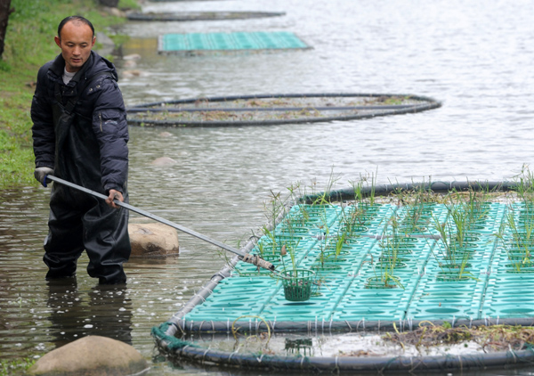 1521717000134045525.jpg wires_1521545808368.jpg