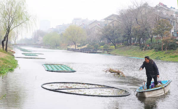 1521717024024031951.jpg wires_1521545813145.jpg