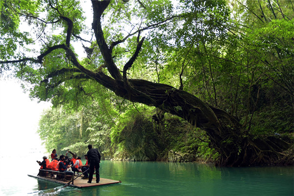 1521514763491067068.jpg san_副本.jpg