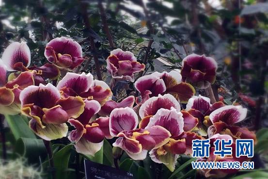 1521711259933047248.jpg 1.jpg