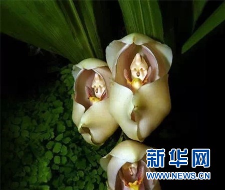 1521711278917086772.jpg 2.jpg