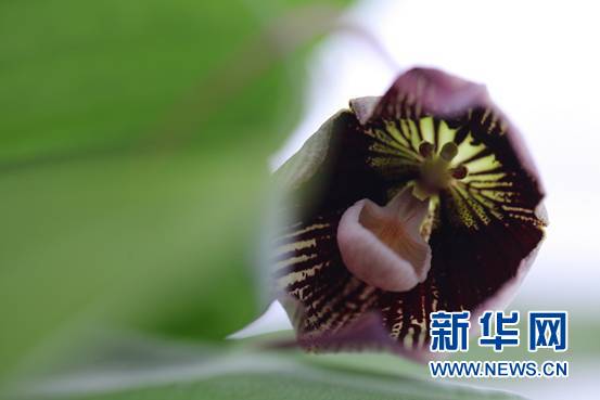 1521711297641016323.jpg 3.jpg