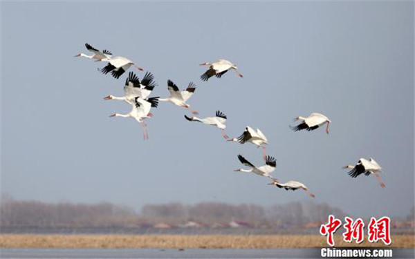 1522141092484004957.jpg 图片19.jpg