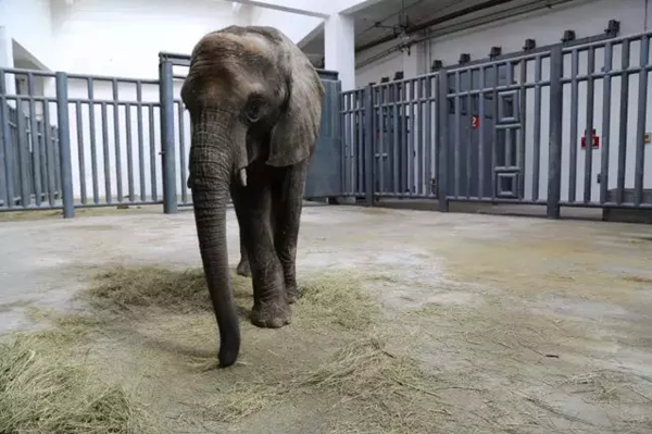 1523428431571092233.png 1.jpg.png