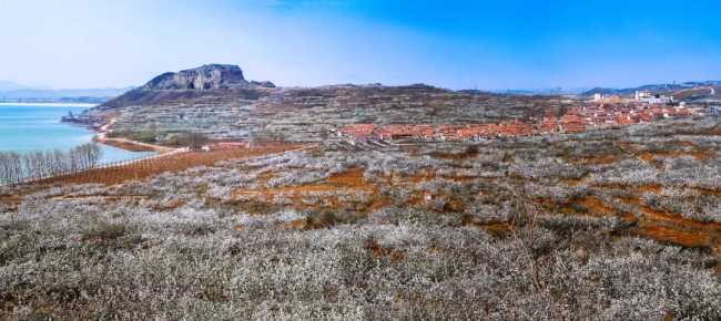 1524113215186036890.jpg 11.webp.jpg